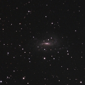 NGC925